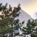 경포마레 이미지