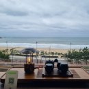 레몬비 곽지해변점 | 부산 해변열차 카페 송정 오션뷰 쌍화차 맛집 수월경화