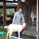 약천농장 이미지