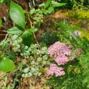 우석농장 이미지