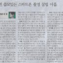 발레나라 Daum카페