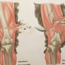 대구성서초등학교 이미지