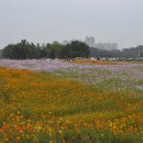 김옥자농장 이미지