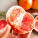 은수농장 이미지