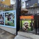 도그하우스 애견미용실 이미지