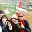 성중농장 네이버블로그