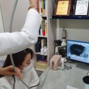 cjn | 의정부두피관리 CJN두피탈모관리센터 : 천연미네랄 비타콜라겐