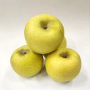 김태선농장 2 | [공동구매] 청송 황금사과! 시나노골드 마지막 재고 공동구매 진행합니다.