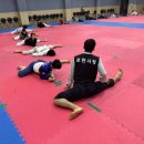 경희최강태권도장 이미지