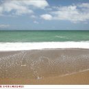 호미반도해안둘레길 이미지