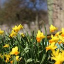 부성농장 이미지