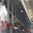 The꿈나무어린이집 이미지