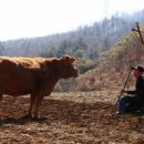 농부의 아침 이미지