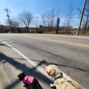 용암펜션 | 주말 연천 여행 코스! 한탄강 베개용암 출렁다리와 힐링 숙소 '연천 에스지펜션'