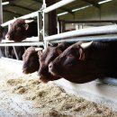 제언농장 이미지