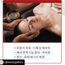 브레라인코리아 이미지