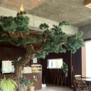 커피도큐먼트 | (경기/평택) 합정동 소개팅, 데이트 장소 디저트 맛집 ‘커피도큐먼트’ 내돈내산 추천