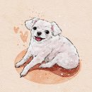 범어동물병원 | 삼덕동물병원 : 강아지 뇌수막염 치료 및 관리 후기 [범어동물의료센터]