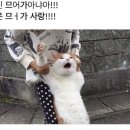 썸바디2 뭥미..? 이미지