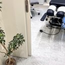 여의도한의원 이미지