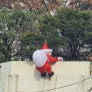 담넘어 Daum카페