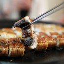 용궁 민물장어 이미지