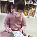 매직 펫 살롱 이미지