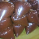 해풍민박 이미지