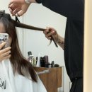 쿨한 강아지 | 대구 본리동 미용실 보그헤어 죽전점에서 대구 허쉬펌 생생 후기