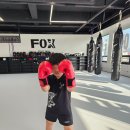 폭스 무에타이 이미지