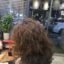 SALON DE Y(살롱드와이) 이미지