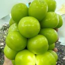 해인농장 이미지