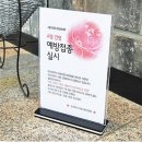 헤이븐