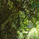 황학동캠핑장 이미지