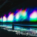 여수 아르떼뮤지엄 볼거리 실내 데이트 여수 가볼만한곳 추천