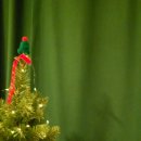 베로스테이 이미지