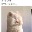 칭찐 이미지