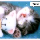 내일또와