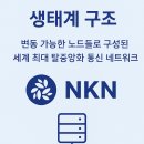 엔케이엔
