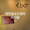 비디알(bdr)