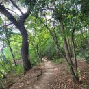 회동수원지 이미지