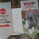 갈비가두근두근플러스 이미지