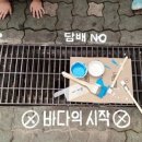 나를돌봄서로돌봄;봄봄 이미지