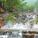 비슬산관광지 이미지