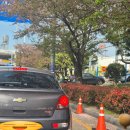 도시공원 | 🌼 대저생태공원｜부산도시농업박람회 아이랑 다녀온 후기(내일 마지막 날!) 체험 꿀팁 정리