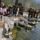 산동숲유치원 이미지