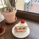 따봉노래연습장 이미지