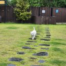 놀다가개유치원 이미지