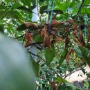 열이농장 이미지