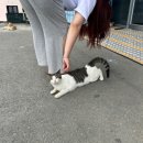 오푸스 | 추석 연휴에 경주 다녀온 후기 (경주월드, 오푸스 풀빌라)🎡🎢